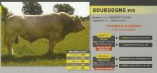 Image de BOURGOGNE